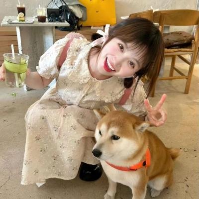 臭皮匠发财梦